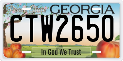GA license plate CTW2650