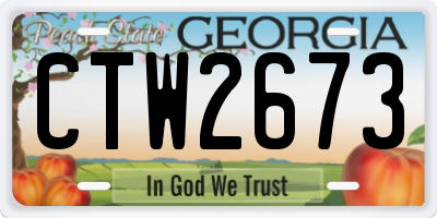 GA license plate CTW2673