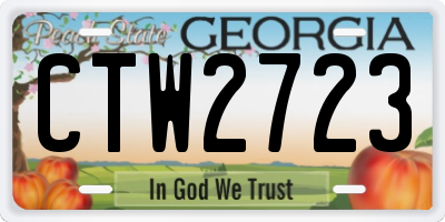 GA license plate CTW2723