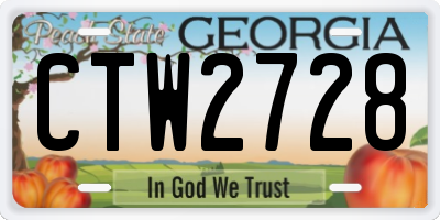 GA license plate CTW2728
