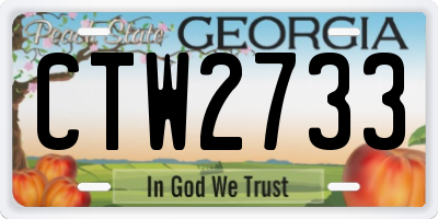 GA license plate CTW2733