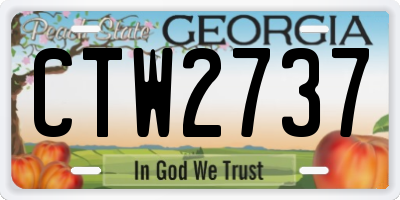 GA license plate CTW2737