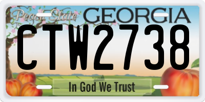 GA license plate CTW2738