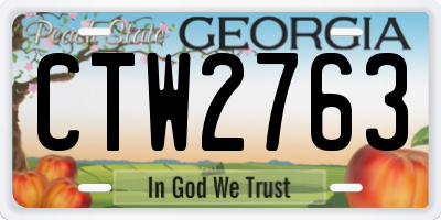 GA license plate CTW2763