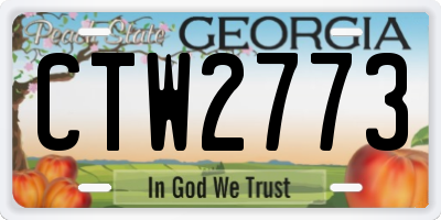 GA license plate CTW2773