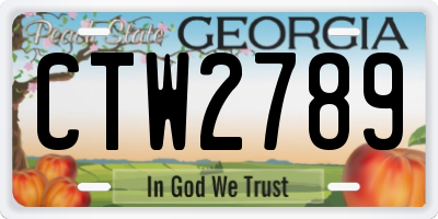 GA license plate CTW2789