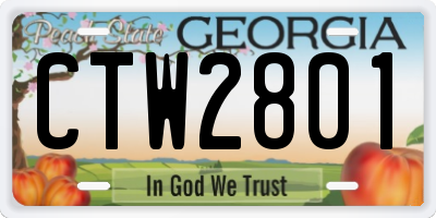 GA license plate CTW2801