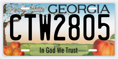 GA license plate CTW2805