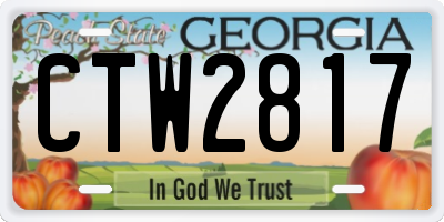 GA license plate CTW2817