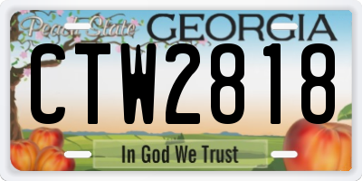 GA license plate CTW2818