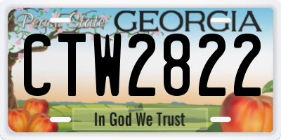 GA license plate CTW2822