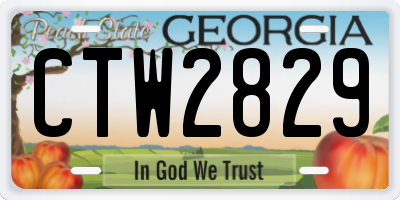 GA license plate CTW2829