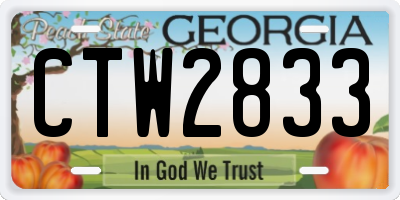 GA license plate CTW2833
