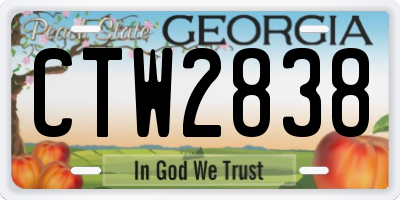 GA license plate CTW2838