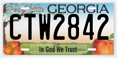 GA license plate CTW2842