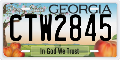 GA license plate CTW2845