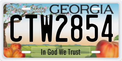 GA license plate CTW2854