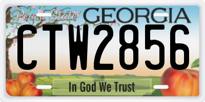 GA license plate CTW2856