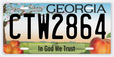 GA license plate CTW2864