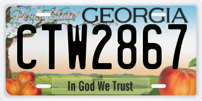 GA license plate CTW2867