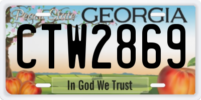 GA license plate CTW2869