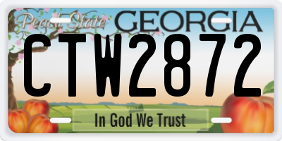 GA license plate CTW2872