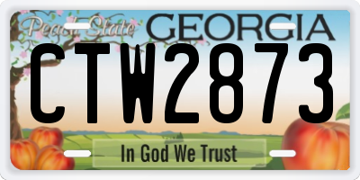 GA license plate CTW2873