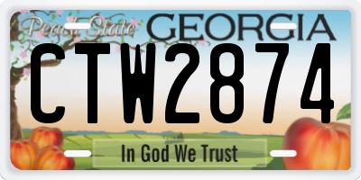 GA license plate CTW2874