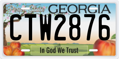 GA license plate CTW2876