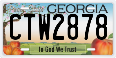 GA license plate CTW2878