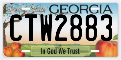 GA license plate CTW2883