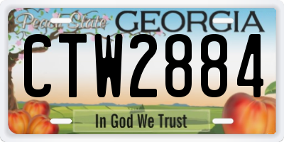 GA license plate CTW2884