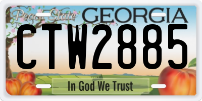 GA license plate CTW2885