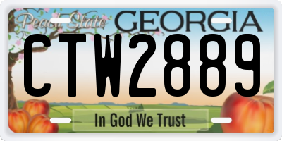 GA license plate CTW2889