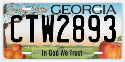 GA license plate CTW2893