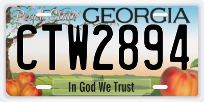 GA license plate CTW2894