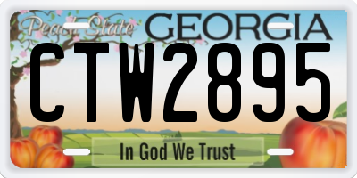 GA license plate CTW2895