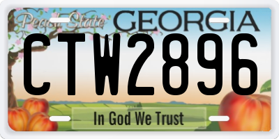GA license plate CTW2896