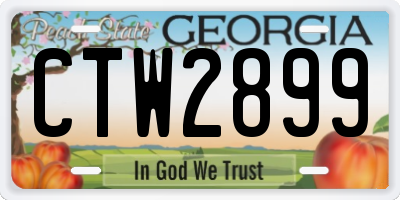 GA license plate CTW2899