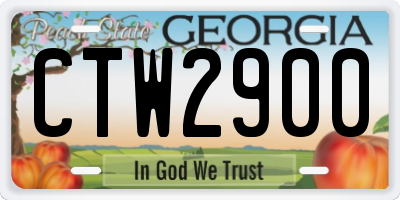 GA license plate CTW2900