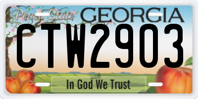 GA license plate CTW2903