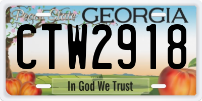 GA license plate CTW2918