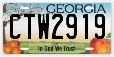 GA license plate CTW2919