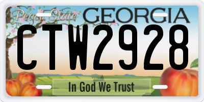 GA license plate CTW2928