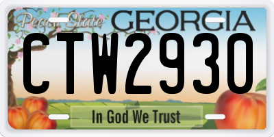 GA license plate CTW2930