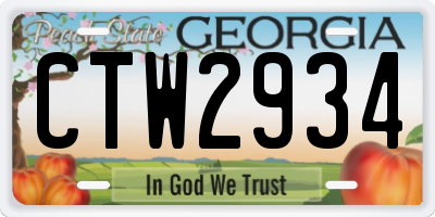 GA license plate CTW2934