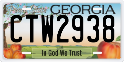 GA license plate CTW2938