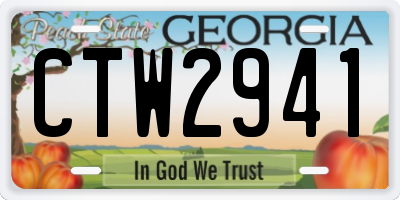 GA license plate CTW2941