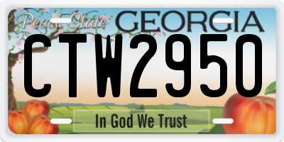 GA license plate CTW2950