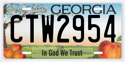 GA license plate CTW2954